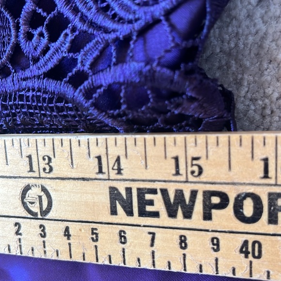 Adrianna Papell Lilac Lace Cap Sleeve Lined Belted Dress Size 8 NWT - Picture 13 of 13